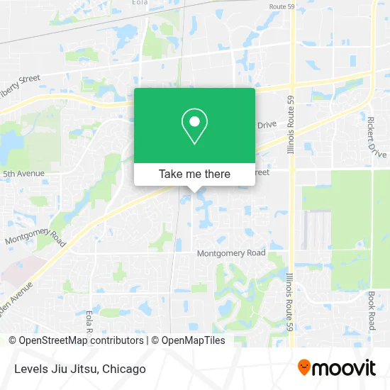 Levels Jiu Jitsu map