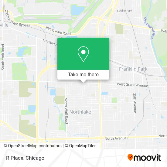 R Place map