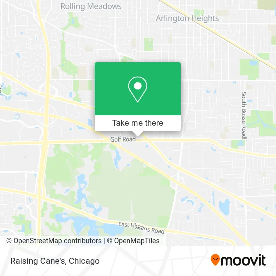 Raising Cane's map