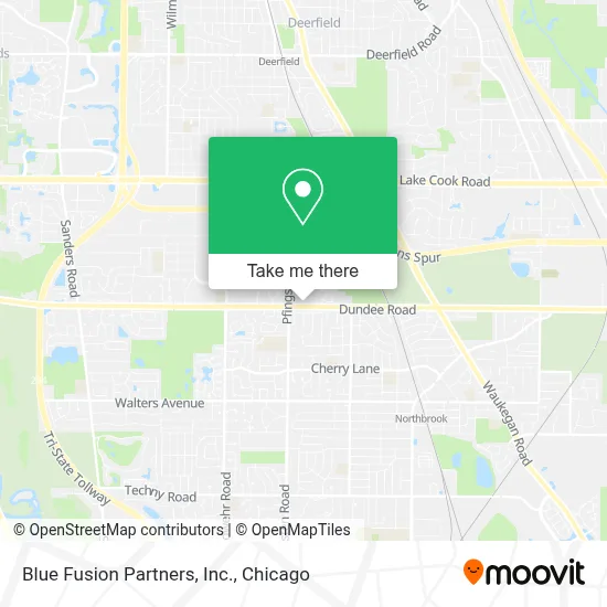 Blue Fusion Partners, Inc. map