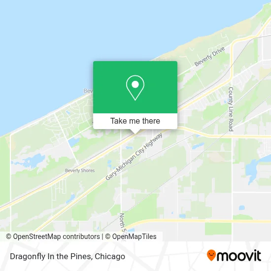 Dragonfly In the Pines map