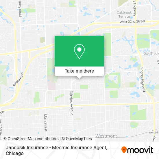 Jannusik Insurance - Meemic Insurance Agent map