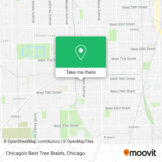 Chicago's Best Tree Braids map