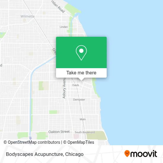 Bodyscapes Acupuncture map