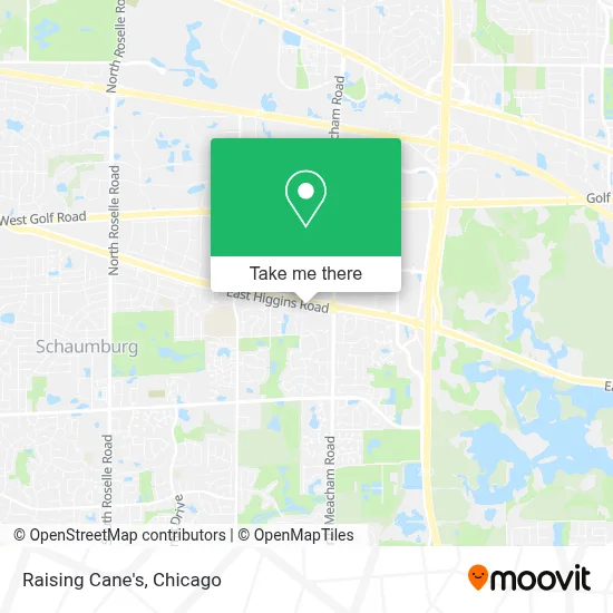 Raising Cane's map