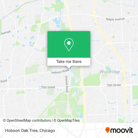Hobson Oak Tree map