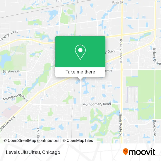 Levels Jiu Jitsu map