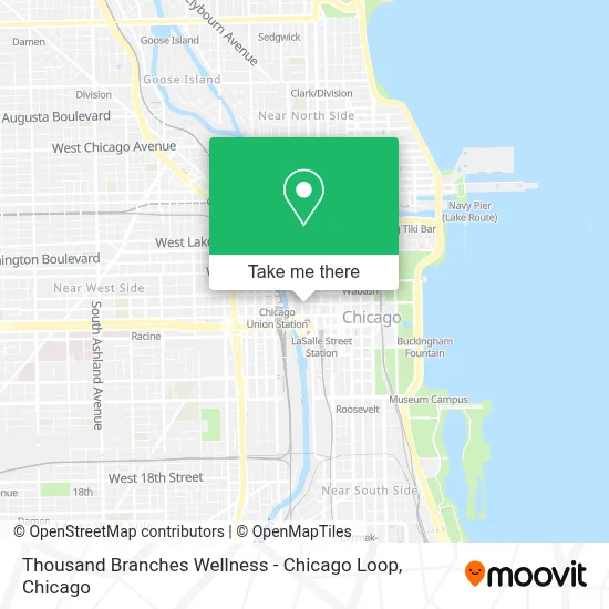 Thousand Branches Wellness - Chicago Loop map