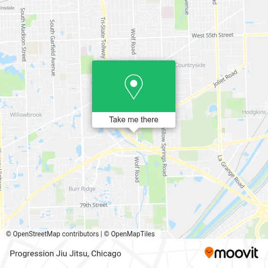 Progression Jiu Jitsu map