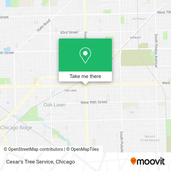 Cesar's Tree Service map