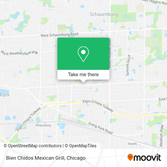 Bien Chidos Mexican Grill map