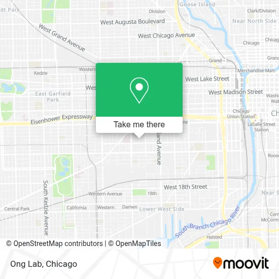 Ong Lab map