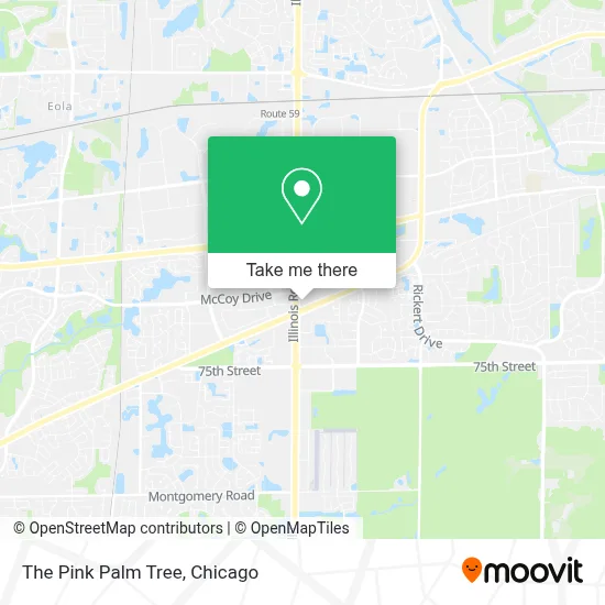 The Pink Palm Tree map
