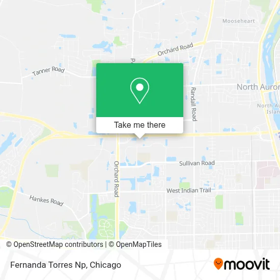 Fernanda Torres Np map