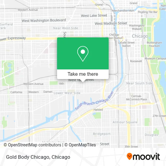Gold Body Chicago map