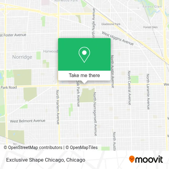 Exclusive Shape Chicago map