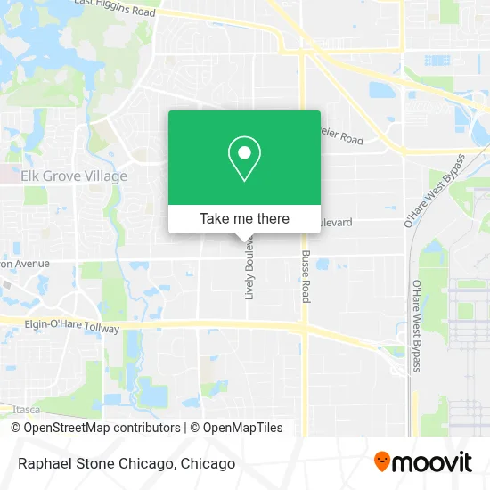 Raphael Stone Chicago map