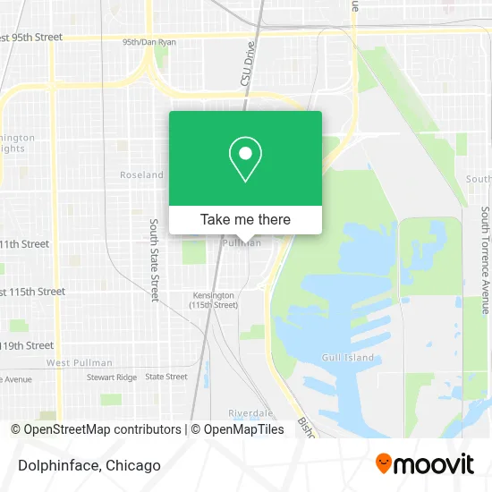 Dolphinface map