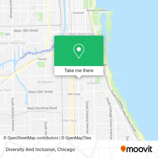 Diversity And Inclusion map