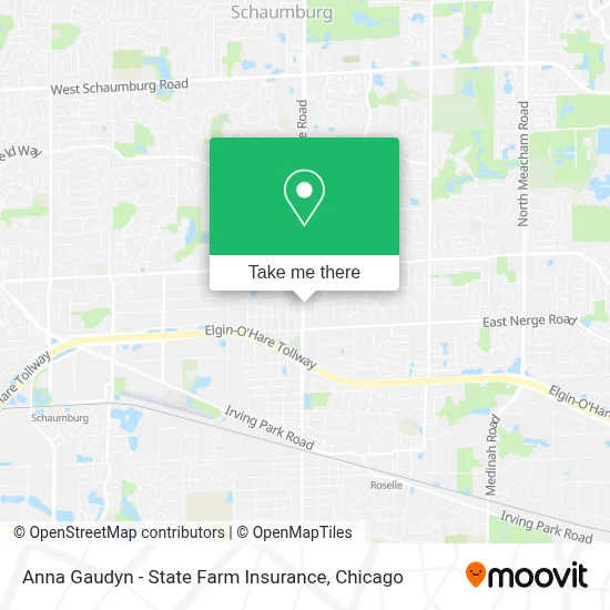 Anna Gaudyn - State Farm Insurance map