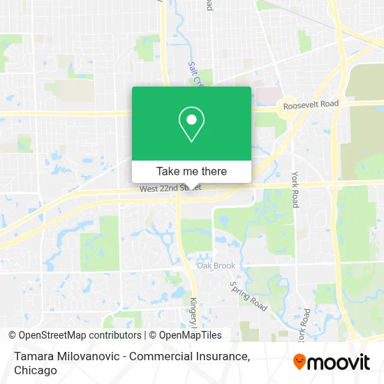 Tamara Milovanovic - Commercial Insurance map