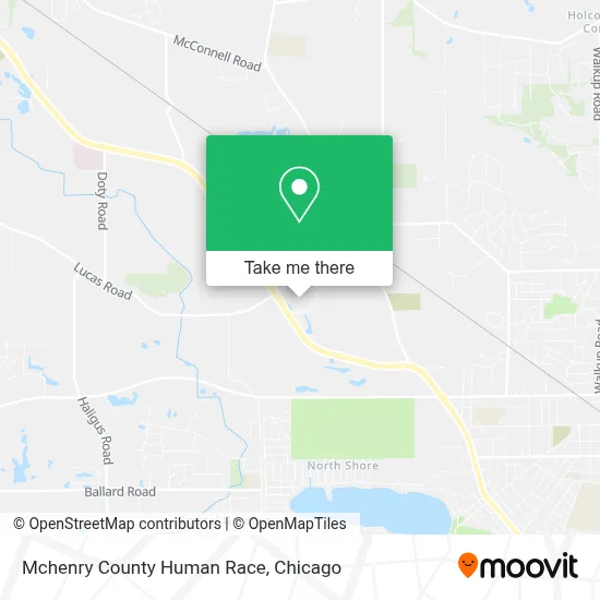 Mchenry County Human Race map