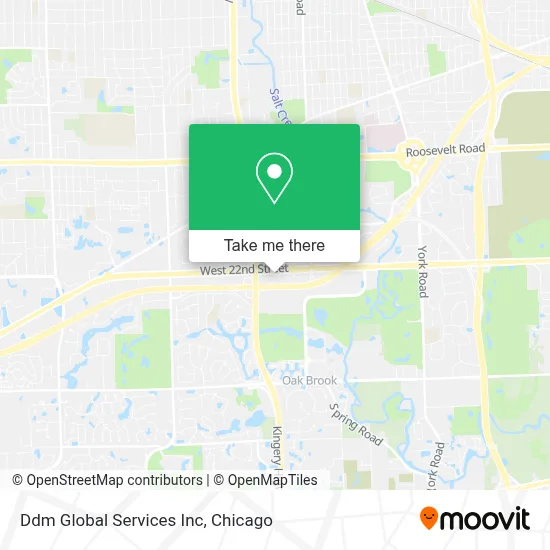Ddm Global Services Inc map