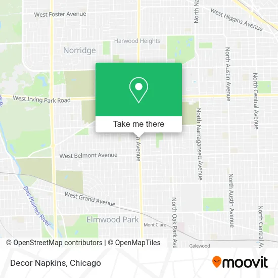 Decor Napkins map