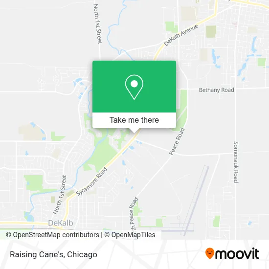Raising Cane's map