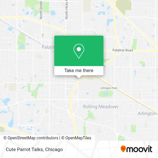 Cute Parrot Talks map