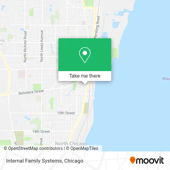 Internal Family Systems map