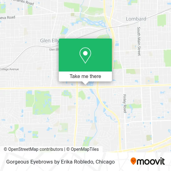 Gorgeous Eyebrows by Erika Robledo map