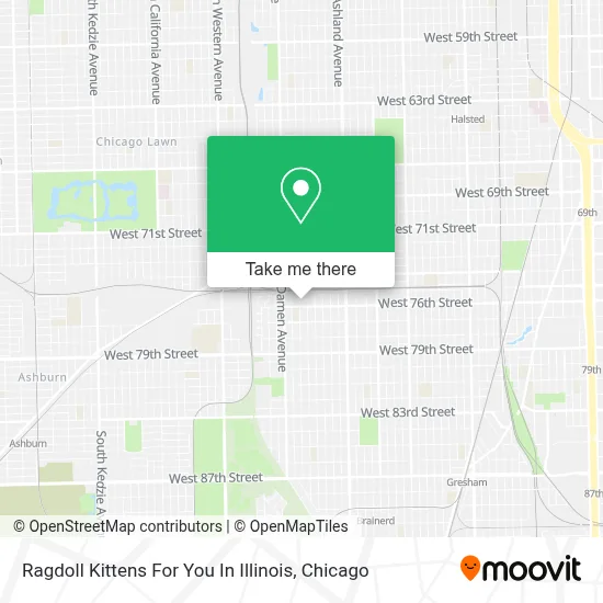 Ragdoll Kittens For You In Illinois map