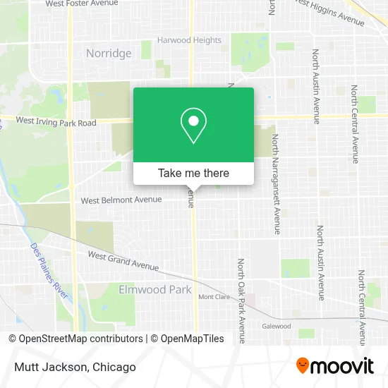 Mutt Jackson map