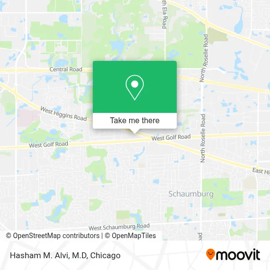 Hasham M. Alvi, M.D map