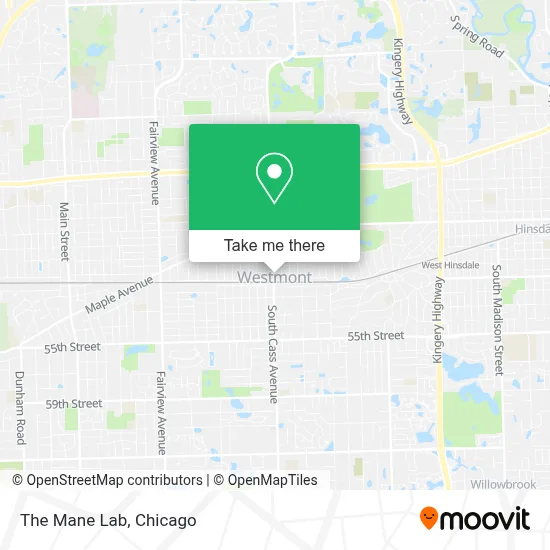 The Mane Lab map