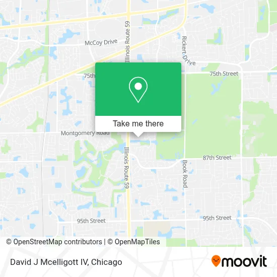 David J Mcelligott IV map