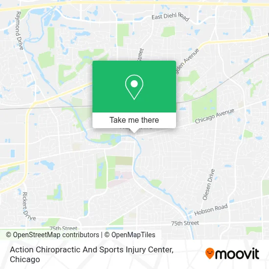 Action Chiropractic And Sports Injury Center map