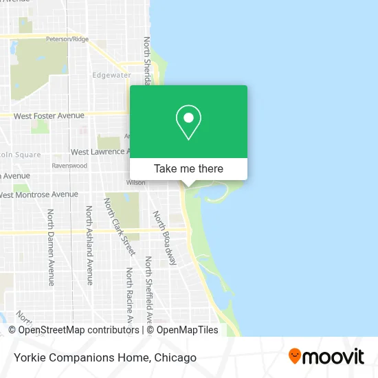 Yorkie Companions Home map