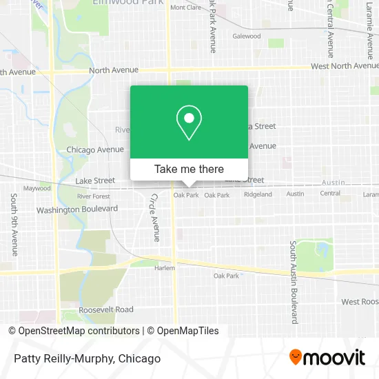 Patty Reilly-Murphy map