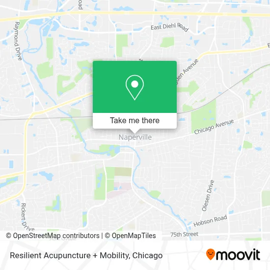 Resilient Acupuncture + Mobility map