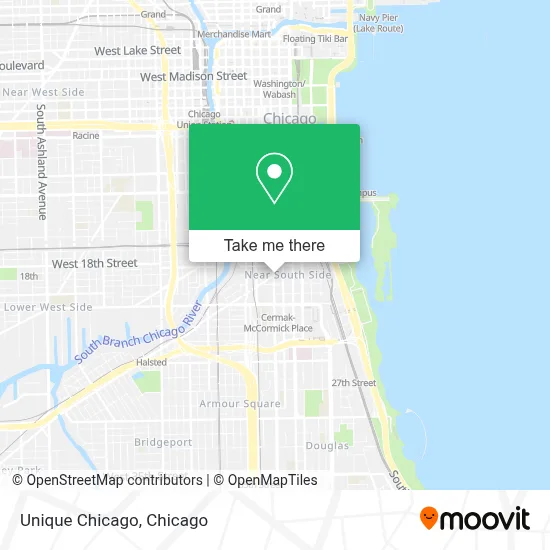 Unique Chicago map
