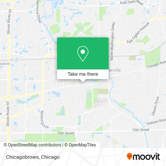 Chicagobrows map
