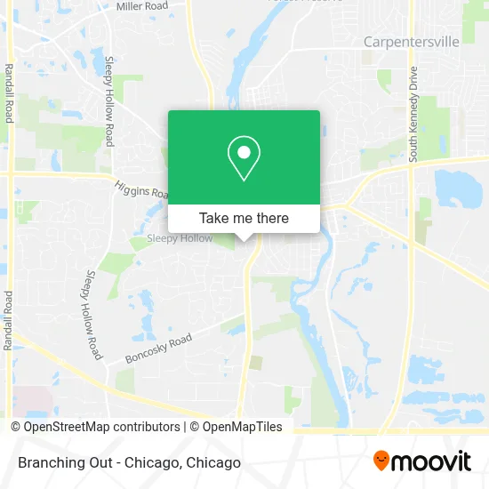 Branching Out - Chicago map