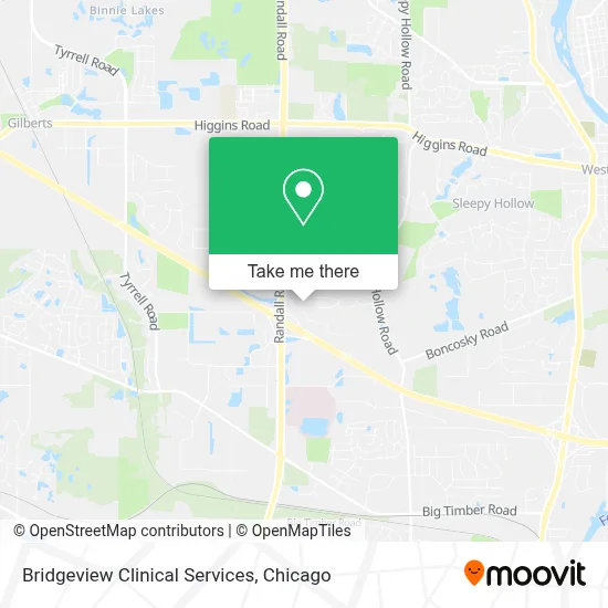 Bridgeview Clinical Services map