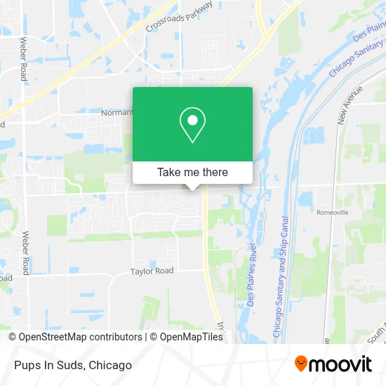 Pups In Suds map