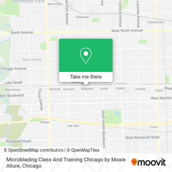 Microblading Class And Training Chicago by Moxie Allure map