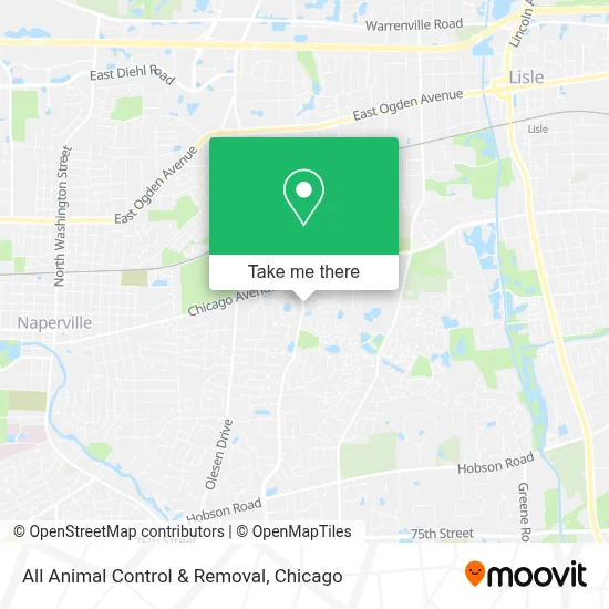 All Animal Control & Removal map