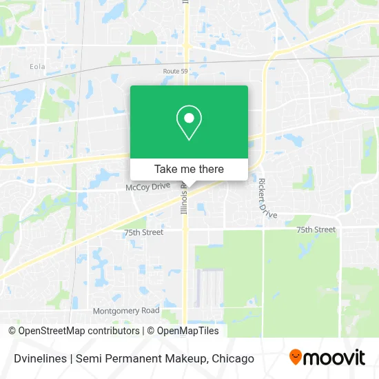 Dvinelines | Semi Permanent Makeup map