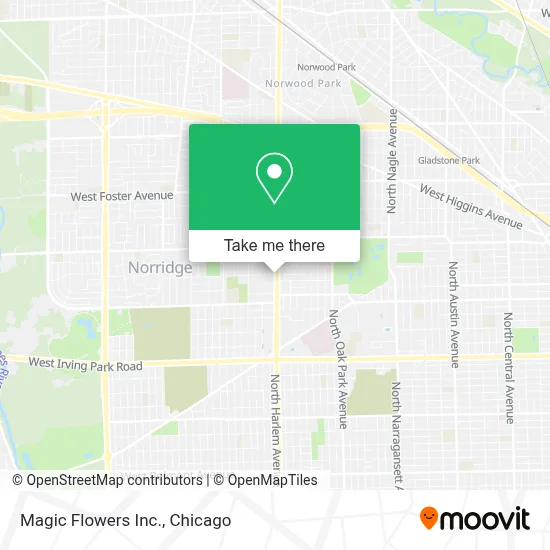 Magic Flowers Inc. map